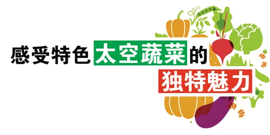 �����߽���ƽ��ɽ�壺������ɫ̫���߲˵Ķ�������