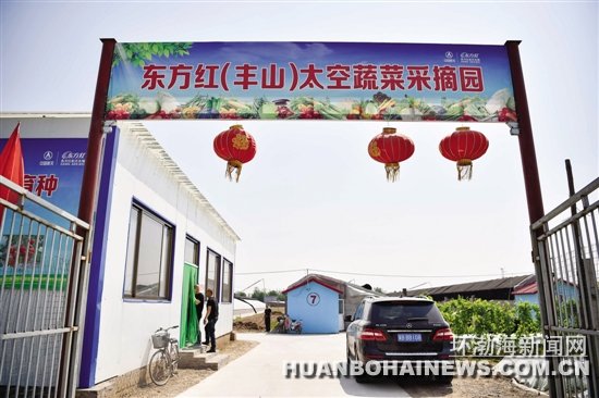 �����߽���ƽ��ɽ�壺������ɫ̫���߲˵Ķ�������