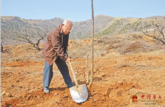 12��ֲ��600Ķ ��ϡ�����û�ɽ����