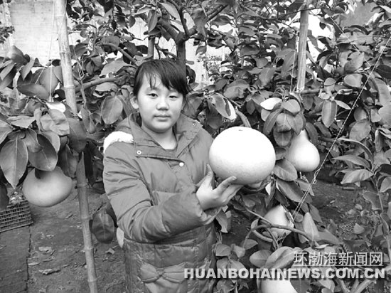 Ǩ��ũ��ů�����Ϸ�ˮ�� ������󳬹�3����