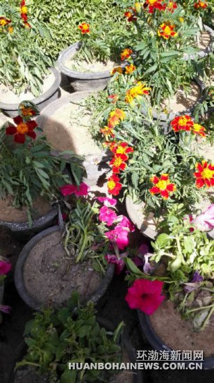 ��ͼ������ȥ��԰��͵�����Ȼ������ƻ���