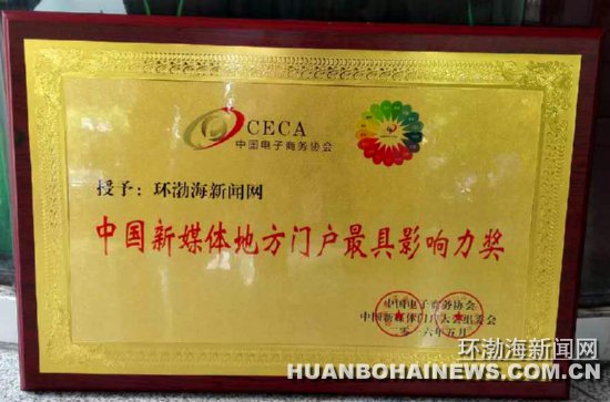 �������ߡ��й���ý��ط��Ż����Ӱ��������