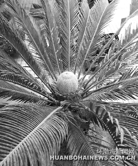 ����һ��һ������������