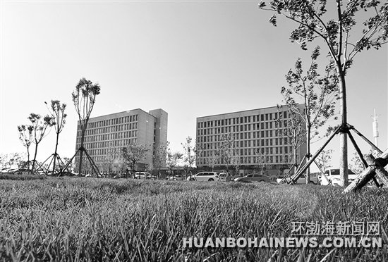 �۽�����������ѧ��Ǩ Ϊ�������֪����ѧͦ��