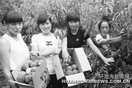 Ǩ����ɽ������ɫ���������صȵ��ο�ǰ����ժ