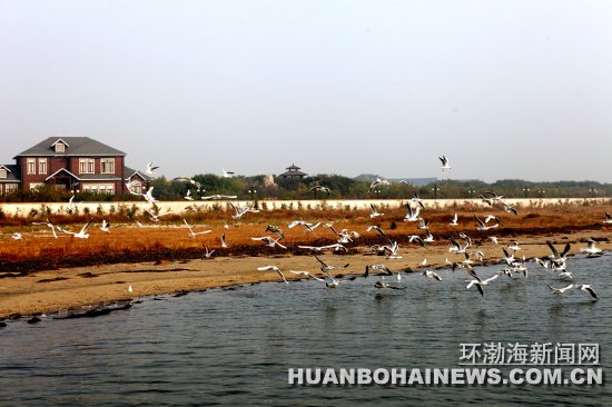 ��ɽ��������ε�