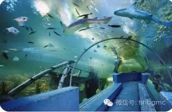 ���ˡ�������˹��פ��ɽ