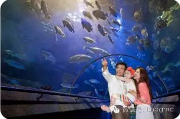 ���ˡ�������˹��פ��ɽ