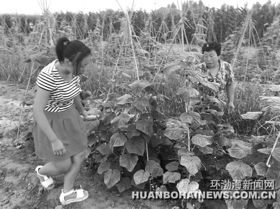 �´ϣ������ⲥ��������