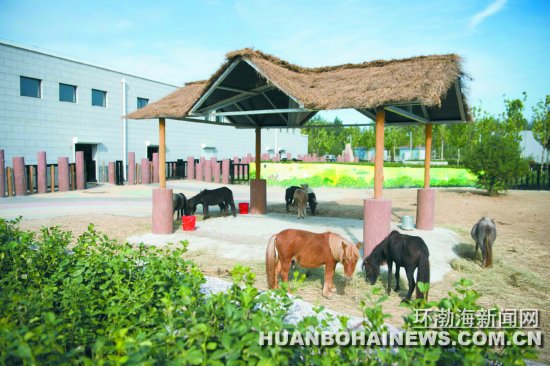 ��ɽ����԰9��10�տ�԰������ ƾ����֤��ѻ�Ʊ