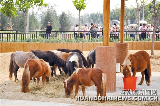 ��ɽ����԰�״���������17�� 24�ն������������