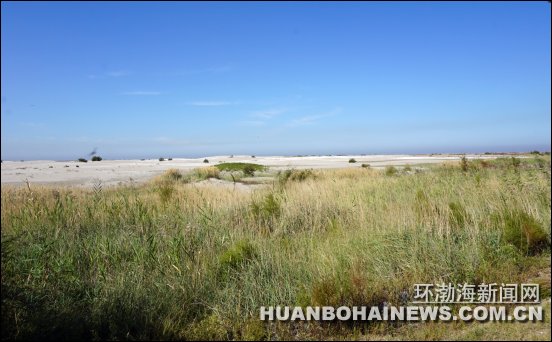 ��ɽ��������ε�ǩԼ15���ص���Ŀ��Ͷ��307��