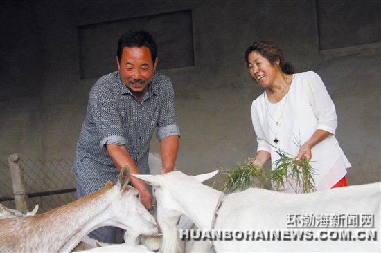 ��ֲ��ֳ�����¸���