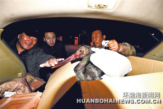 ҹ��ǧ��Ⱥ���