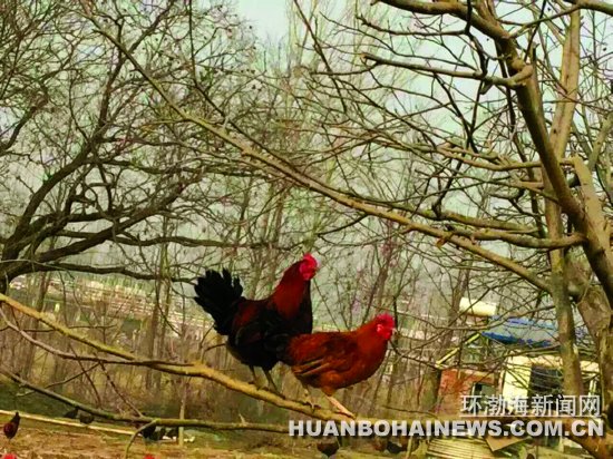 ũ��С����΢�������������