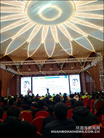 2017�꾩�򼽶���������ɽվ�ڹ������ε�����