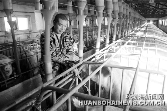 �����Զ��� ����׬��Ǯ