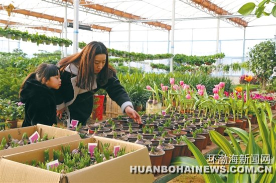 ��ɽǨ����˳��ũҵ��̬ʾ��԰�۹���������