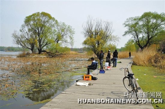 ��԰�ڲ����������ż�����