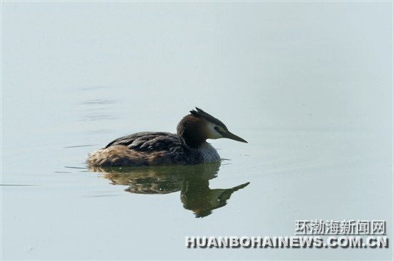 �Ϻ�Ұ���мҲ��һ�