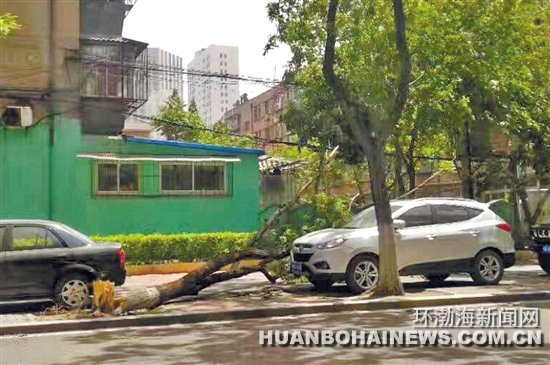 ��ɽ�����������·һ�ô������۶�