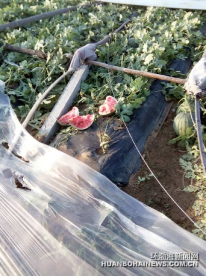 ���ε����� 2�򹫽���������������ͼ��