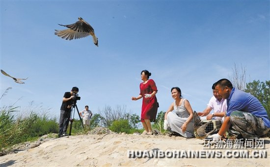 6ֻ���С�����ع���Ȼ