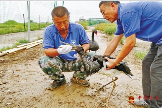 �������ϻ�����