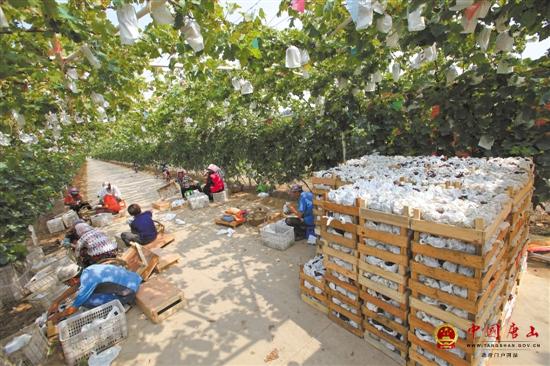 ����������Զ��������˹̹