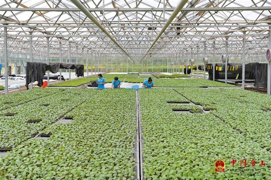 ��ͤ��������ũ��Ʒ����