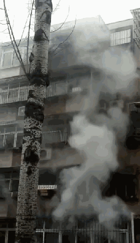 ���� (2).gif