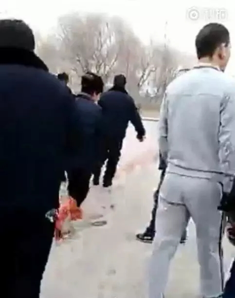 ����.webp (2).jpg