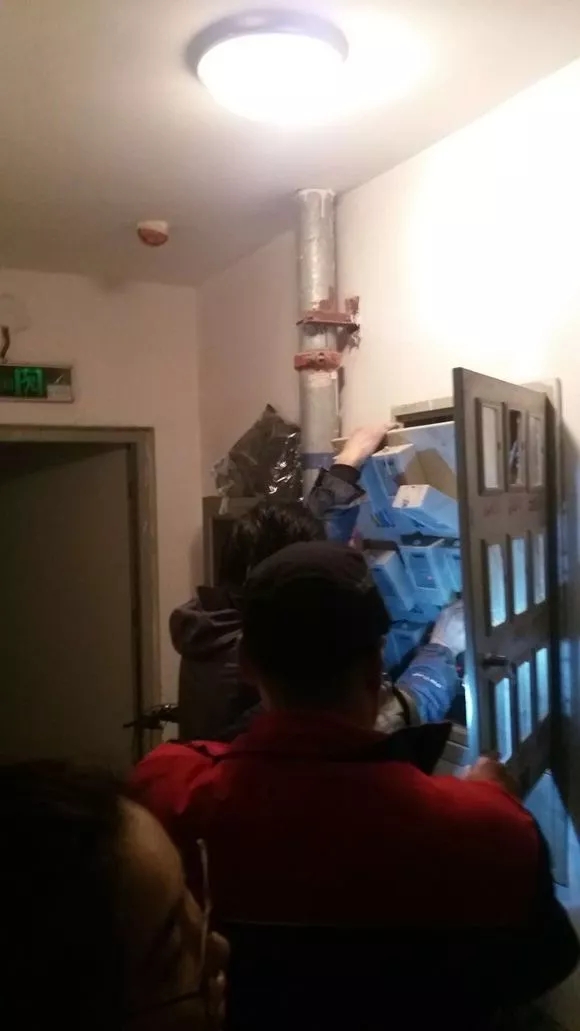 ����.webp (1).jpg