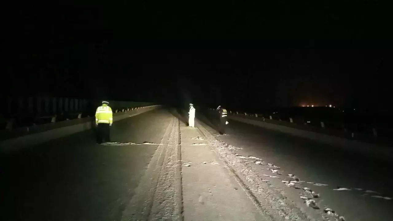 ����.webp (7).jpg