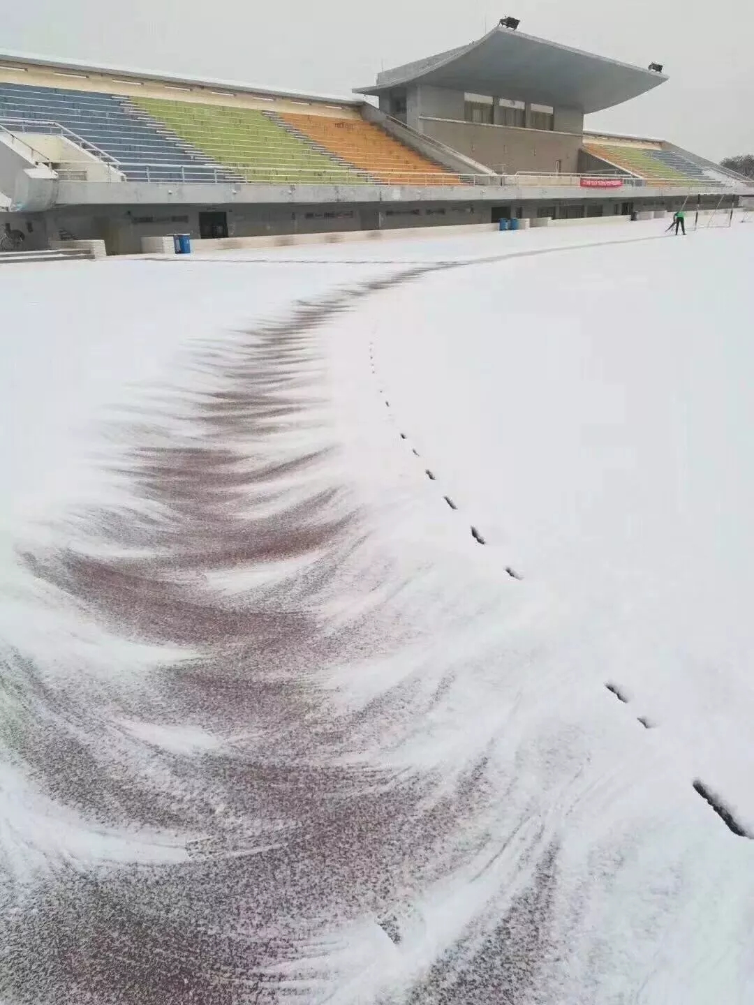 ����.webp (12).jpg