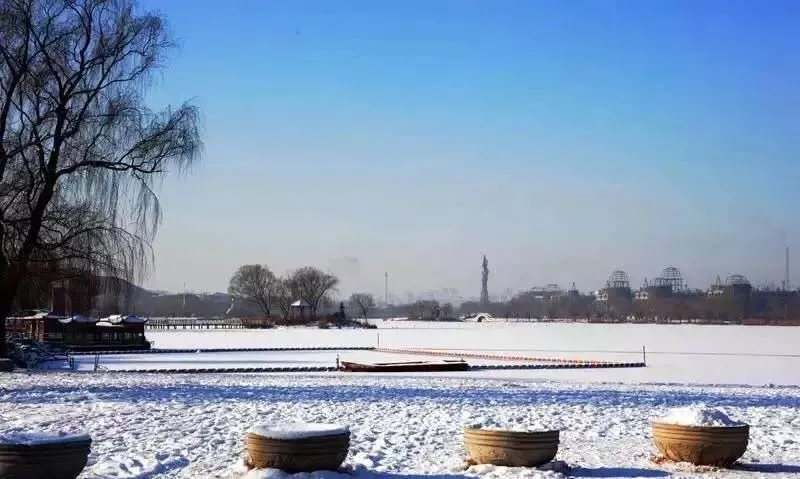 ����.webp (13).jpg