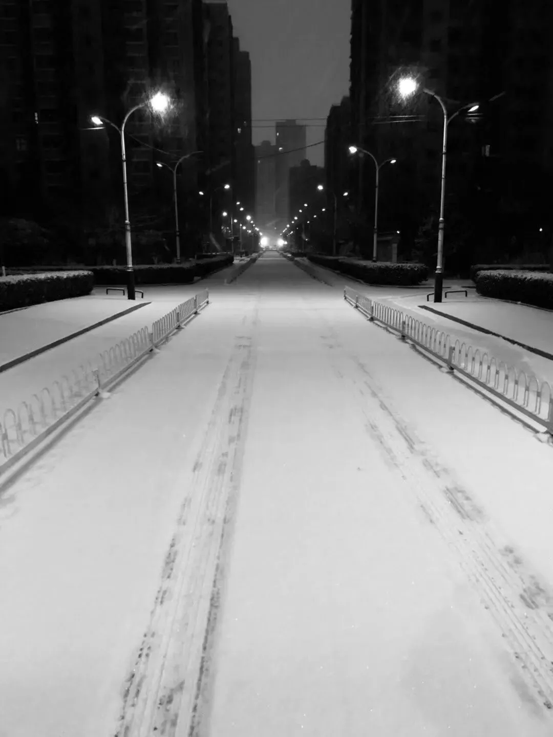 ����.webp (19).jpg