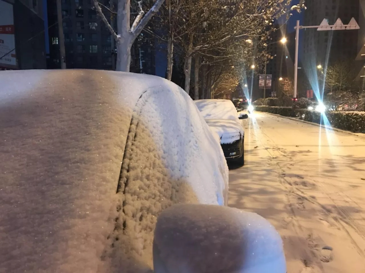 ����.webp (20).jpg