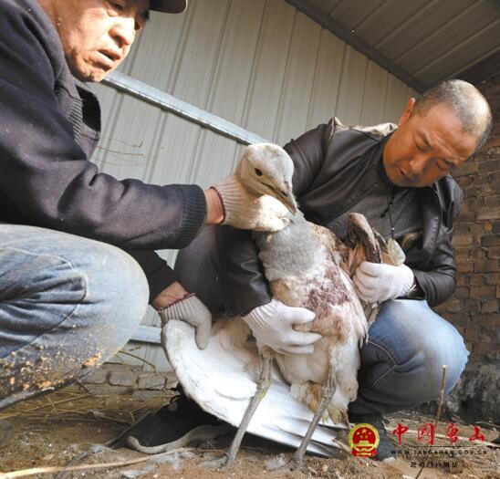 ���о�������һ������������