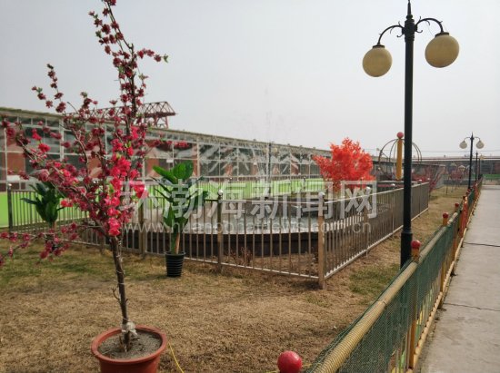 ��ɽ��������ʿ������5����Ԫ����ذ��Ա�֢��ͯ