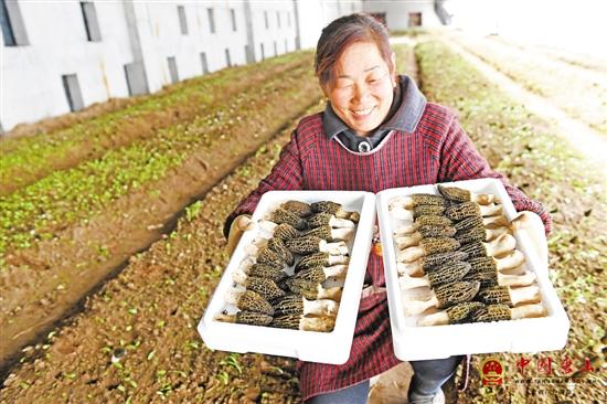 ��ɽСĢ������ŷ���г�