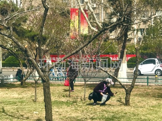 ҽ�����ѣ������Ұ�˲�Ҫ̫����