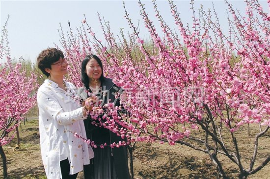 ��ɽ:����ũ��������������ľ��ֲ�����¸�·