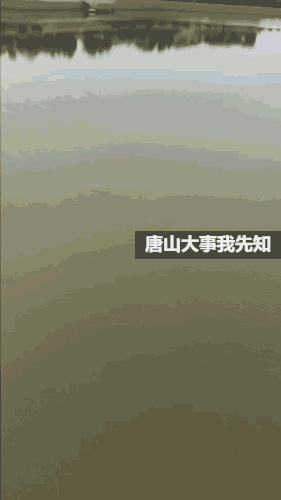 ed5f95d3c64d31b091f16babdb3ea499.gif
