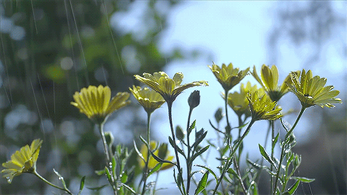 20200907002941.gif